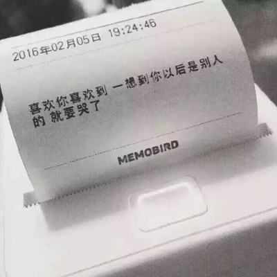 加查net游戏最新版下载
